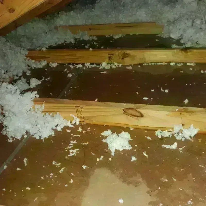 Attic Water Damage in Danvers, MA