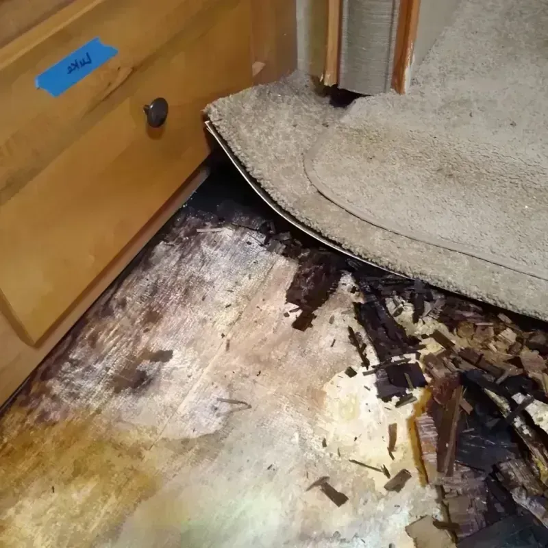 Best Wood Floor Water Damage Service in Danvers, MA